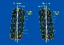 Wheel Alignments